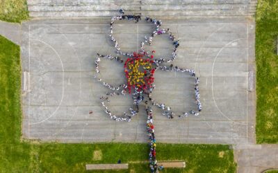 Projektni dan u našoj školi: Upoznajmo Floru Istre! / Giornata progettuale nella nostra scuola: conosciamo la Flora dell’Istria!